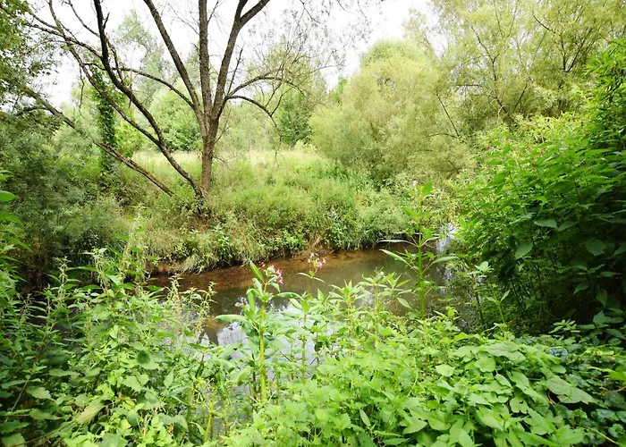 Hébergement de vacances In With Swimming Pool Virton